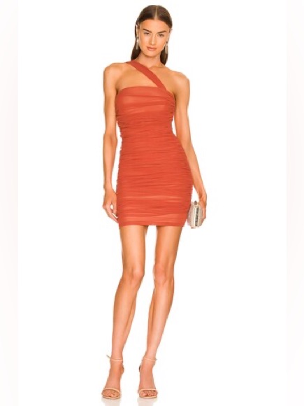 Michael Costello Honor Mini Dress In Rust
